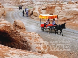 シルクロード 決定版 ウルムチ カシュガル トルファン 