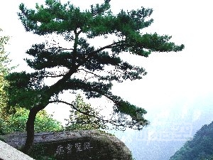 ブ源 景徳鎮 廬山