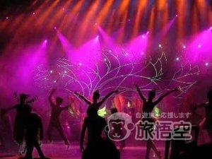 夢幻漓江 月光サーカス 雑技 ツアー （往復送迎付）