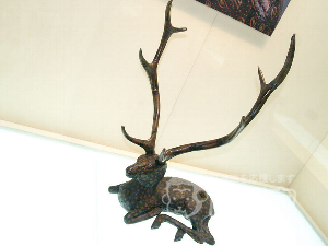 湖北省博物館 武漢